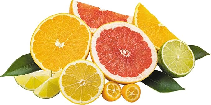 Fresh Products | Eco Clips 2.0 | Air Freshener (Citrus, 12pk)