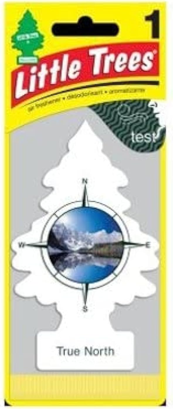 Little Trees True North Scent Air Freshener, 24 Pack