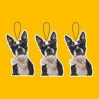 Custom Air Freshener for Car,Double Side Photo Personalized Car Air Freshener Various Scents for Car, Office, Wardrobe, Bathroom (Pack of 3, Personalization)