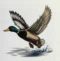 Puddle Duck Air Freshener Car Scent By Scent South