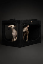 Noah & Paw Collapsible Dog Crate 30 Inches, Large Dog Crate for Large Medium Breeds, Travel Kennel for Car, Including Pet Mat for Pet Cage, 2 Storage Pockets, Handbag, 10mm Locking Zipper 30*21*21