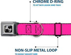 Buckle-Down Dog Collar Seatbelt Buckle Hot Pink 18 to 32 Inches 1.5 Inch Wide, Multicolor, DC-W30838-WL