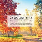 LITTLE TREES Car Air Freshener | Hanging Tree Provides Long Lasting Scent for Auto and Home | Crisp Autumn Air, 24 Air Fresheners