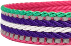 Blueberry Pet 6 Colors 3M Reflective Multi-Colored Stripe Adjustable Dog Seat Belt Tether for Dogs Cats, Pink, Emerald and Orchid, Durable Safety Car Vehicle Seatbelts Leads Use with Harness