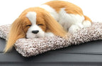 Ergocar Air Purifying Bags Air Freshener Cute Animals Bamboo Charcoal Odor Eliminator Car Decoration Car Air Dehumidifier for Eliminating Odors