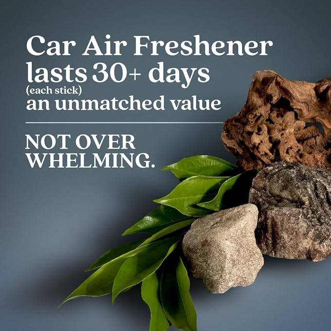 Enviroscent Non-Toxic* Car Air Freshener Auto Stix® - Scents Made Safer - Enjoy Fragrance Lasts Up to 480 Days - Includes Auto Stix® Diffusers & Elastic Loops - Coastal Storm & Teakwood (Pack of 8)