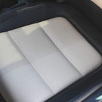 P&S Professional Detail Products - Terminator Enzyme Spot and Stain Remover - Perfect for Deodorizing, Removing Embedded Soils, Grease, Dirt, and Protein Based Stains; Fresh Scent (1 Pint)
