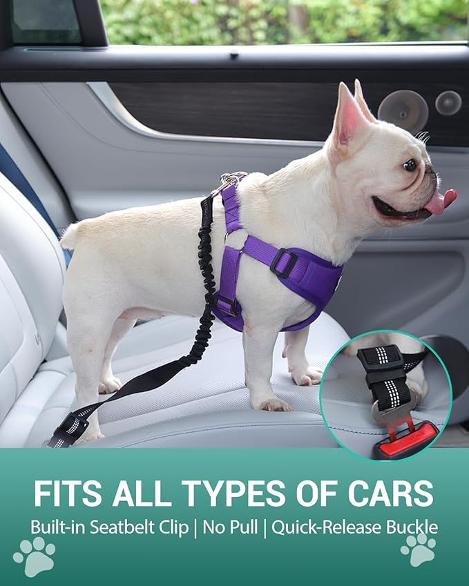 Dog Seat Belt for Car,Dog Car Safety Harness,2 in 1 Seatbelt Tether with Elastic Bungee,Travel Safety Harnesses for Small Medium Large Pets (Pink Small)