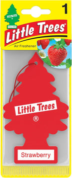 LITTLE TREES Car Freshner 10312, Strawberry