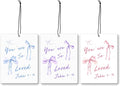 Mancheng-zi Coquette Bow Christian John 3:16 Car Air Freshener 3Pcs, Cute Preppy Girly Religious Air Freshener Hanging for Cars Closet Drawer or Books, Blue Purple Pink Car Accessories Mirror Decor