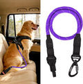 PetBonus Dog Seat Belt for Car, Durable Rope Dog Car Harness Seatbelt for Vehicle, Pet Tether Safety Restraint with Heavy Duty Buckle Hook Latch Lockable Clip for Small Medium Large Breeds (Purple)