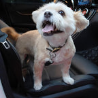 Mr. Pen- Adjustable Dog Seat Belt for Car, 2 Pack, Pet Safety Harness, Car Leash