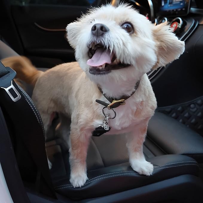 Mr. Pen- Adjustable Dog Seat Belt for Car, 2 Pack, Pet Safety Harness, Car Leash