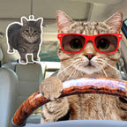 6Pcs Funny Car Air Freshener for Women Girls Men Cute Freshener Ornaments Cat Meme Funny Car Hanging Accessories