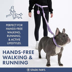 Spark Paws Handsfree Dog Leash – Shock Absorbing Waist Bungee Lead for Running, Car Seatbelt Clip & Poop Bag Set, Heavy Duty Tactical Lead for Medium, Large & X-Large Breeds - Lilac