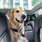 Spigen 2 in 1 Car Seat Belt Tether for Dogs (Headrest & Seatbelt Buckle) | High-Strength Heavy-Duty Strap | Adjustable Anti-Shock Bungee Leash