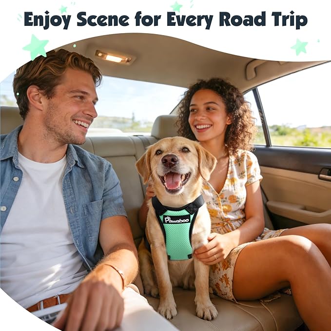 Pawaboo Dog Seat Belt Harness for Car, Dog Car Harness Seatbelt with Double Clips, Adjustable Breathable Pet Vest & Dogs Safety Tether with Elastic Bungee for Small Medium Large Pet, S, Blue + Black