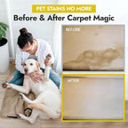NORTHWEST ENTERPRISES Multi-Purpose Enzyme Cleaner - Household and Commercial Pets Cat Dog Urine and Poop - Enzymatic Cleaner, Fresh Lemon Scent (32 ounces)
