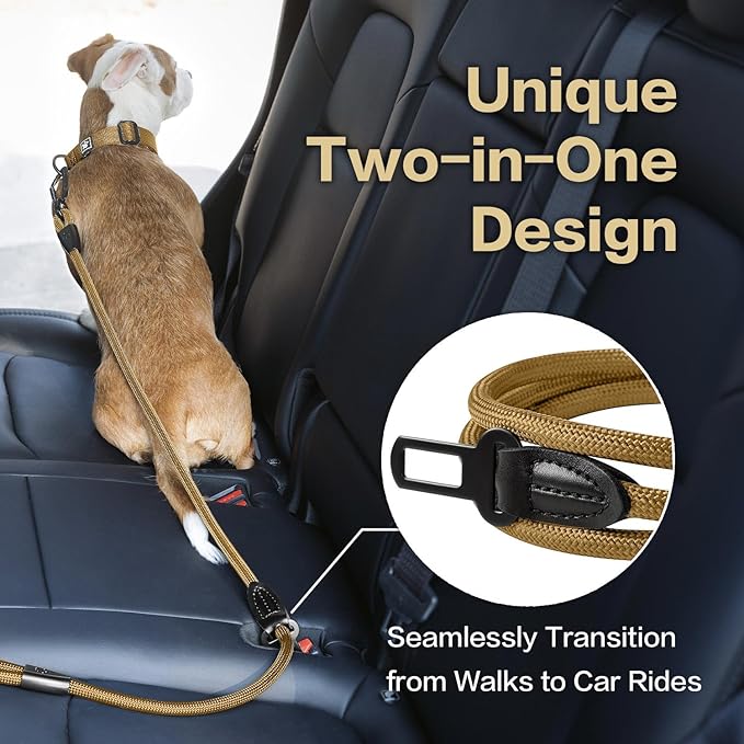 PawsPassion Rope Dog Leash 4 FT, 2-in-1 Heavy Duty Dog Leash with Seat Belt Buckle, Tangle Free 360ｰ Swivel Aviation Aluminum Carabiner, All Metal Hardware, Alloy O-Ring (Sunrise)