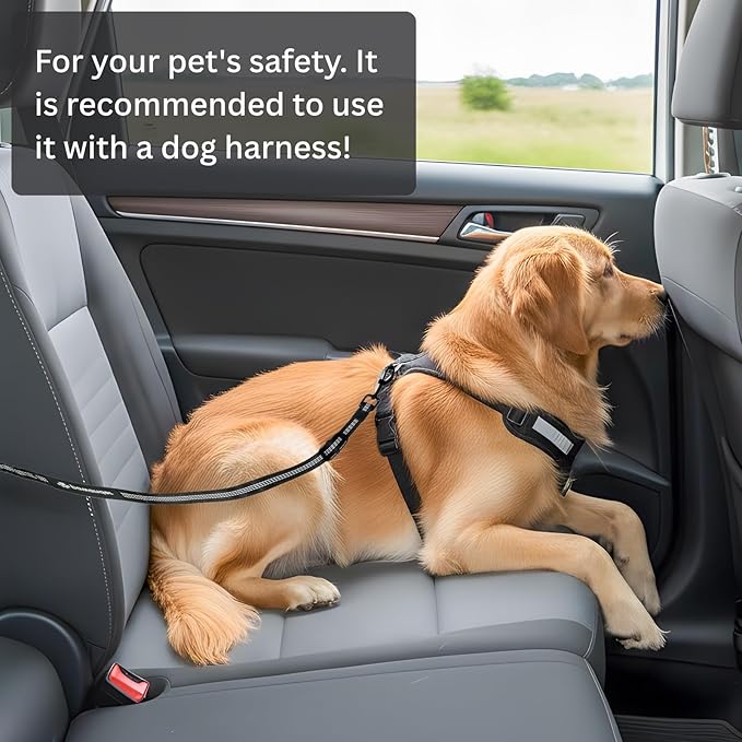 Dog Seat Belt for Car Headrest or Seatbelt Clip, Adjustable Reflective Dog Leash with Elastic Bungee Buffer, Nylon Safety Seatbelt Harness for Medium & Large Dogs (Black)