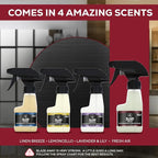 Blaze Away Commercial Air Freshener & Odor Eliminator for Strong Odor - Industrial-Grade Room Spray & Room Deodorizer for Home, Car, Smoke & Pet Odors - Long-Lasting Odor Absorber, Room Fresheners