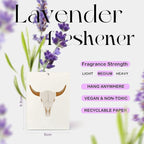Boho Neutral Western Howdy Car Air Freshener, Preppy Cowgirl Boots Bull Skull Air Freshener Hanging 3 Pcs for Cars Closet Drawer or Books, Cute Western Car Accessories Mirror Decor for Women Men