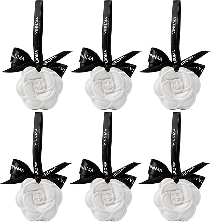 6 Pcs Clay Disc for Essential Oil, Fragrance Disc, Car Diffusers for Essential Oils, Passive Diffuser Fragrance Disk Suitable for Fresh Air and Deodorizing Wardrobe
