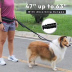 Bond Dog Running Leash Hands Free with Pouch, Hands Free Leash for Large Dogs, Pet Lead Running Belt for Walking & Canicross Belt, Includes Waist Jogging Fanny Pack & Pet Car Seat Belt Safety