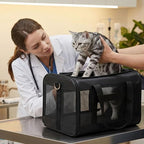 Cat Carrier Airline Approved, Soft-Sided Dog Carrier with Inner Safety Leash, Pet Transport Carrier for Small-Medium Cats Puppies up to 15 Lbs, Collapsible Travel Kitten Carrier Bag -BlackM