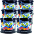 Treefrog Air Freshener Squash Scent (TR21S) - Qty. 6 Cans