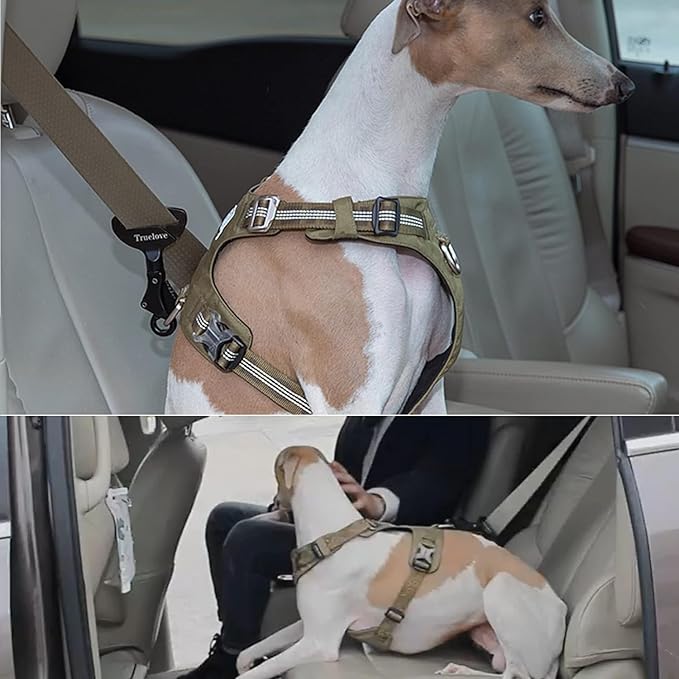 Dog Seat Belt Clip Universal Dog Car Restraint - Portable Vehicle Seatbelt Harness for Pet Car Travel(Purple)