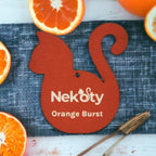 Air Fresheners | Hanging Air Fresheners for Home or Car (Orange Burst)