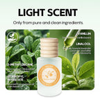 Natural Car Air Freshener Hanging 2 Pack-Sunny Citrus Scent Toxin-Free Essential Oil Car Diffuser without Methyl Carbitol&Hexylene Glycol