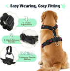 Pawaboo Dog Seat Belt Harness for Car, Dog Car Harness Seatbelt with Double Clips, Adjustable Breathable Pet Vest & Dogs Safety Tether with Elastic Bungee for Small Medium Large Pet, M, Blue + Black