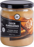 Pumpkin Spice Odor Eliminating Highly Fragranced Candle - Eliminates 95% of Pet, Smoke, Food, and Other Smells Quickly - Up to 80 Hour Burn time - 12 Ounce Premium Soy Blend