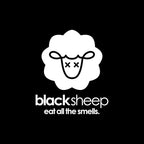 Black Sheep - Bamboo Charcoal Natural Air Purifying Bag - Eliminates Odors in Homes, Cars, Bags, Shoes, Closets & More - 200g (4)