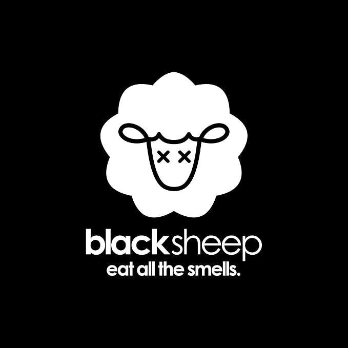 Black Sheep - Bamboo Charcoal Natural Air Purifying Bag - Eliminates Odors in Homes, Cars, Bags, Shoes, Closets & More - 200g (4)