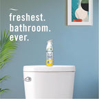 Febreze Air Mist Air Freshener Spray, Odor-Fighting Room Spray, Air Fresheners for Home and Bathroom and Kitchen, Aerosol Can, Kitchen Odor Fighter Scent, 8.8oz (Pack of 3)