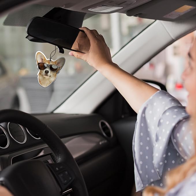 Custom Air Fresheners with Picture - Personalized Air Freshener for Car with Funny Face - Customized Photo Hanging Car Air Freshener - Personalized Cute Deco Gifts for Car Home