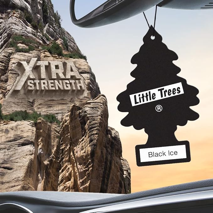 LITTLE TREES Car Air Freshener | Xtra Strength Provides Long-Lasting Scent for Auto or Home | Extra Boost of Fragrance | Black Ice, 24 Air Fresheners