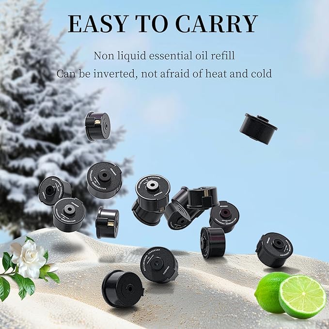 Kwak's Essential Oil Refills - Natural French Fragrance, Car Diffuser Dedicated Refill(2 packs) (Snow Mist Forest)