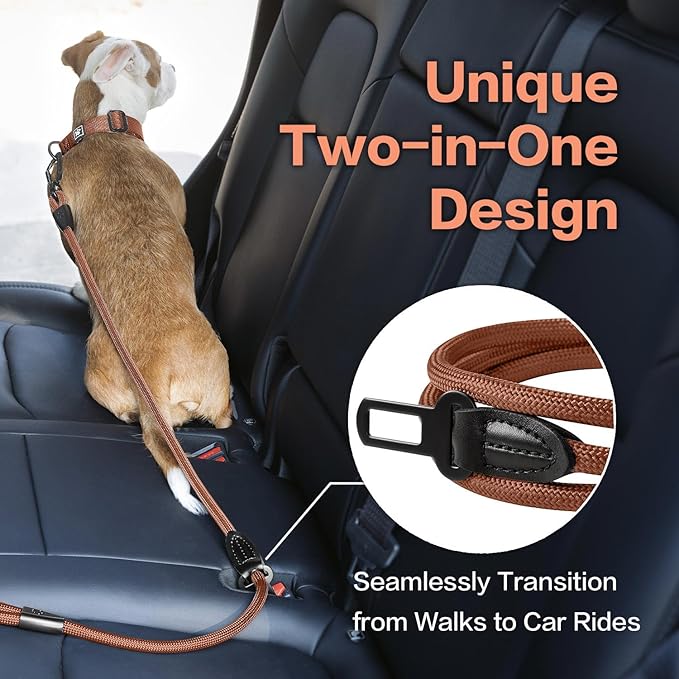 PawsPassion Rope Dog Leash 6 FT, 2-in-1 Heavy Duty Dog Leash with Seat Belt Buckle, Tangle Free 360ｰ Swivel Aviation Aluminum Carabiner, All Metal Hardware, Alloy O-Ring (Canyon Red)