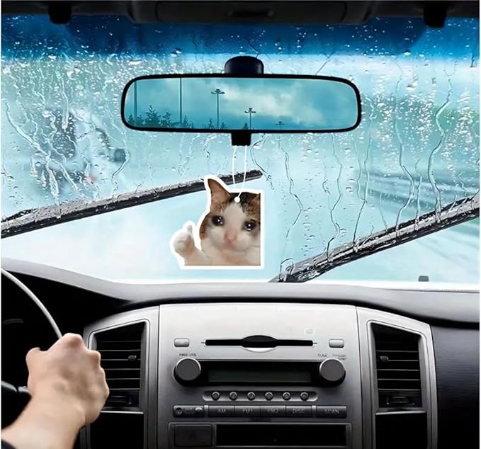 Rawan 4 Pack Cat Air Freshener - Funny Cat Decor for Women, Men & Kids - Hanging Fresheners for Car & Home