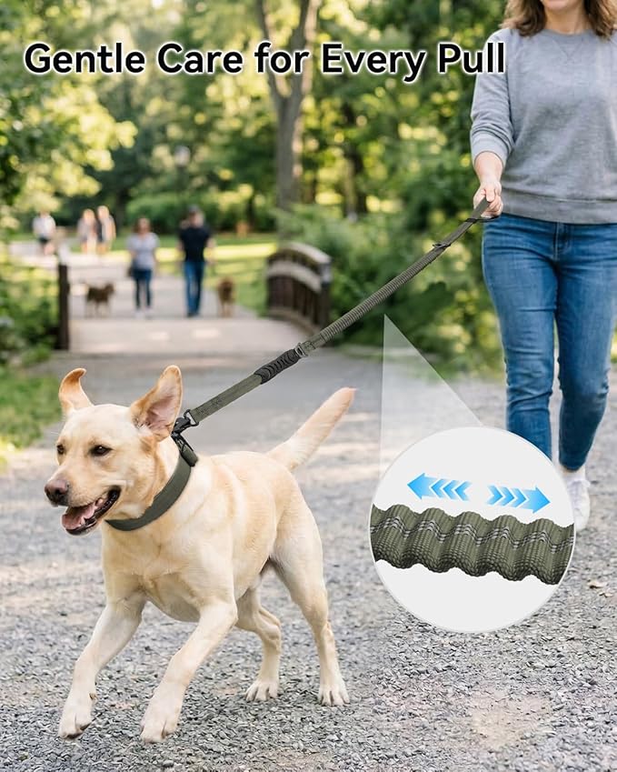 Joytale Tactical Dog Leash Heavy Duty, 4-6FT Shock Absorbing Bungee Lead with 2 Padded Handle, Metal Carabiner Clip, Car Seatbelt, Strong No Pull Leash for Medium Large X-Large Dogs, Army Green
