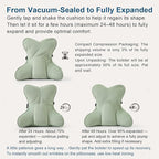 Lumbar Support Pillow (Pat. Pend) for Couch & Recliner, Ergonomic Chair Back Support for Lower Back Pain Relief, Back Support for Couch, with Adjustable Strap to Stay in Place, Celadon Green
