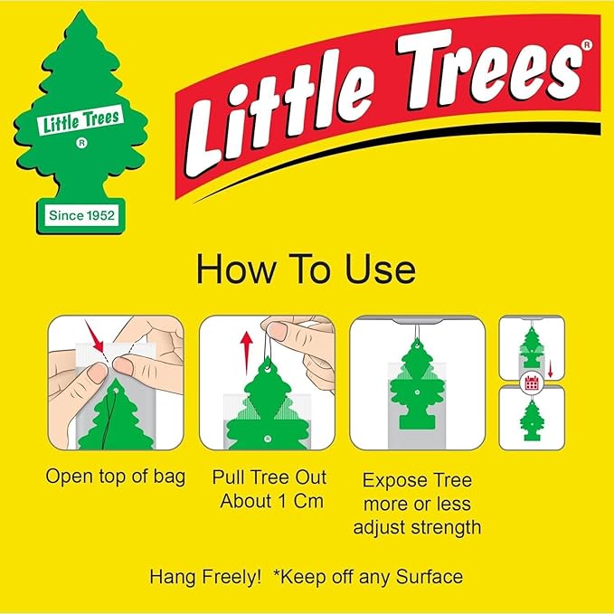 Little Trees Air Fresheners, True North (Pack of 12)