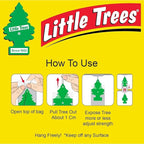 LITTLE TREES Car Air Freshener | Hanging Paper Tree for Home or Car | Summer Linen | 6 Pack