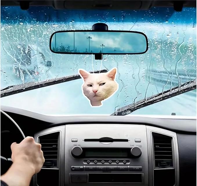 Rawan 4 Pack Cat Air Freshener - Funny Cat Decor for Women, Men & Kids - Hanging Fresheners for Car & Home