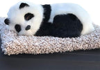 Ergocar Air Purifying Bags Air Freshener Cute Animals Bamboo Charcoal Odor Eliminator Car Decoration Car Air Dehumidifier for Eliminating Odors