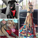 SlowTon Dog Seat Belt Harness for Car, Dog Car Harness Adjustable Mesh Breathable & Dog Seatbelt Safety Tether with Elastic Bungee for Small Medium Large Pets(Red Seatbelt, Single Clip, XXXS)